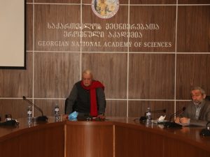 ეროვნული პრობლემების შემსწავლელი კომისიის სხდომა