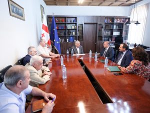 განათლების, მეცნიერებისა და ახალგაზრდობის მინისტრის ვიზიტი მეცნიერებათა აკადემიაში