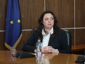 ახალგაზრდა მეცნიერთა სემინარი – პირდაპირი უცხოური ინვესტიციები: თეორია და პრაქტიკა