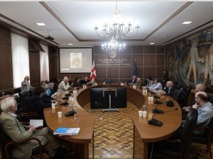 ეროვნულ პრობლემათა შემსწავლელი მუდმივმოქმედი კომისიის სხდომა